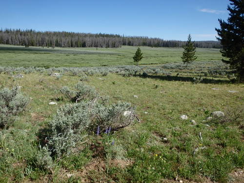 GDMBR: Wagon Creek's watershed.